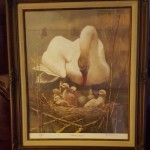 last swan print